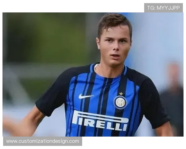 国米旧将范赫斯登因膝盖韧带重伤宣布退役年仅26岁